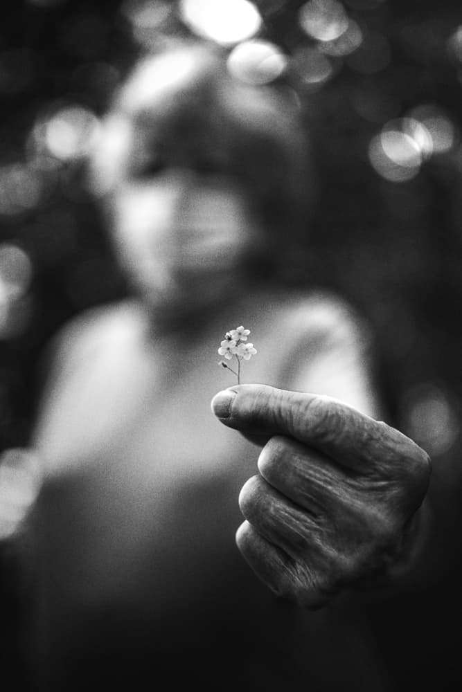 Gentle Hand Tiny Flower by Stephen Clough — canvas wall art