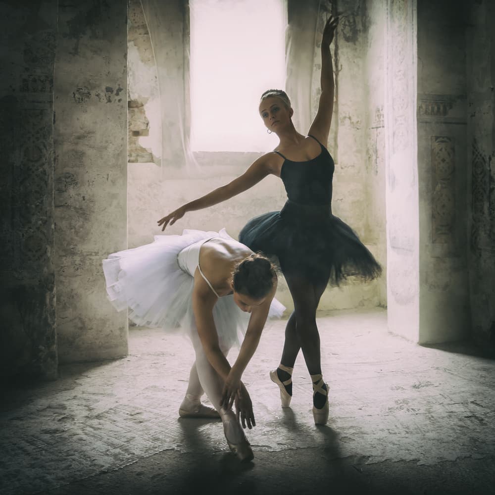 Elegant Ballet Practice by Roswitha Schleicher-Schwarz — canvas wall art
