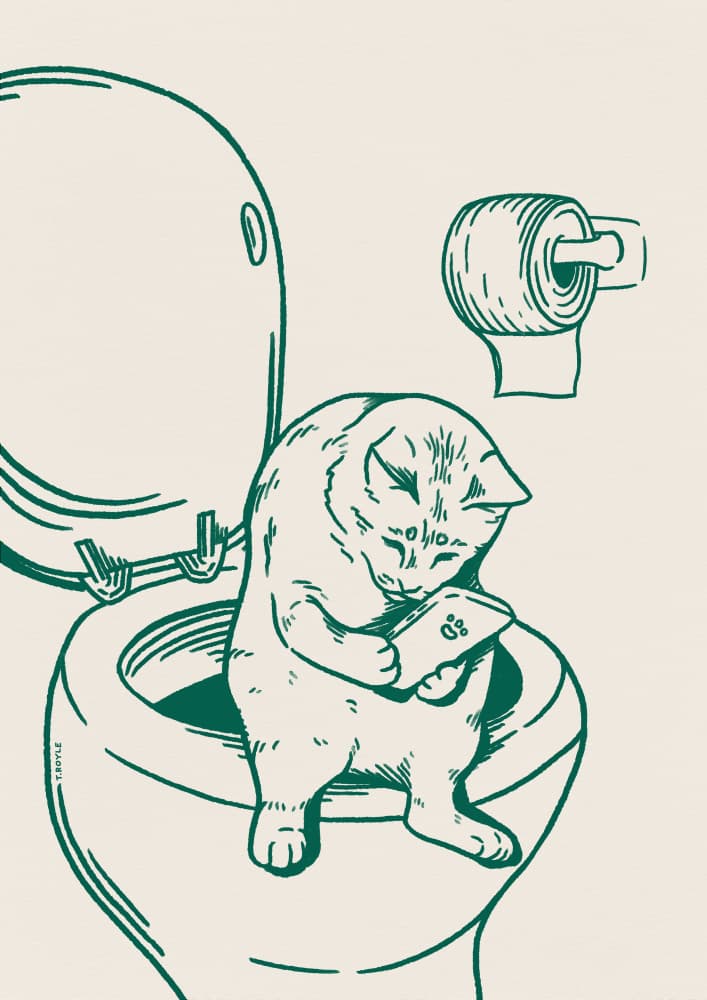Funny Cat On Toilet by Tara Royle — canvas wall art