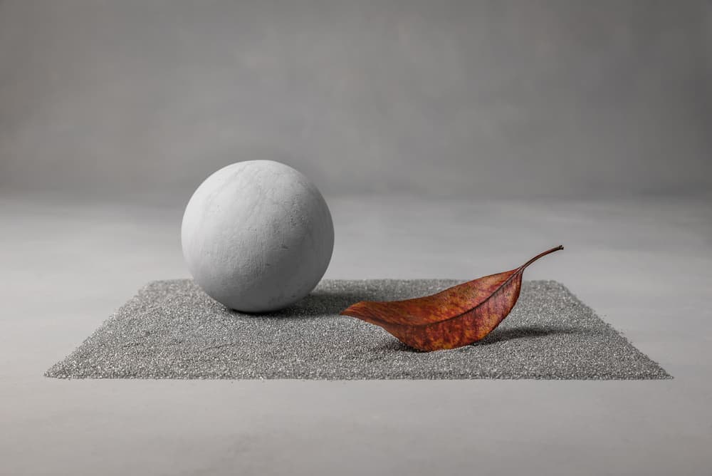Gray Sphere Dried Leaf by Christophe Verot — canvas wall art