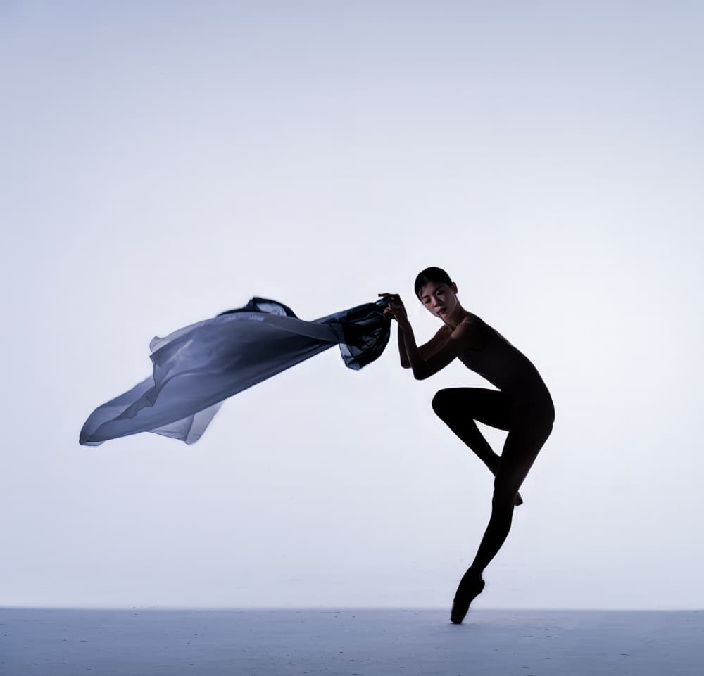Ethereal Ballet Movement by Rae Zhang — canvas wall art