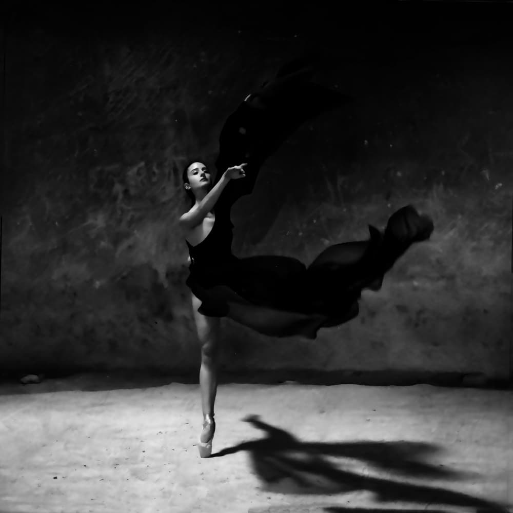 Elegant Ballet Flow by Rachel Pansky — canvas wall art