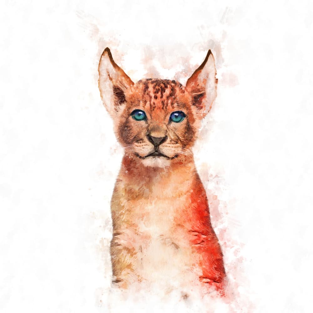 Cub's Blue Gaze by Emel Tunaboylu — canvas wall art
