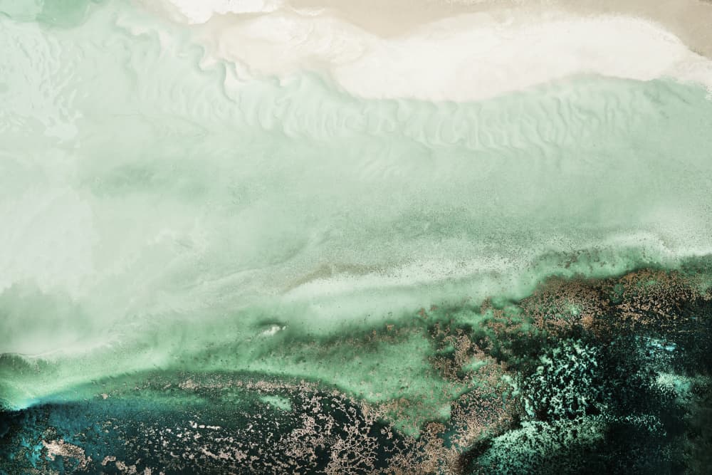 Jade Waters Tifupscaled Cgi 13287w Copy 4 by Petra Meikle de Vlas — canvas wall art
