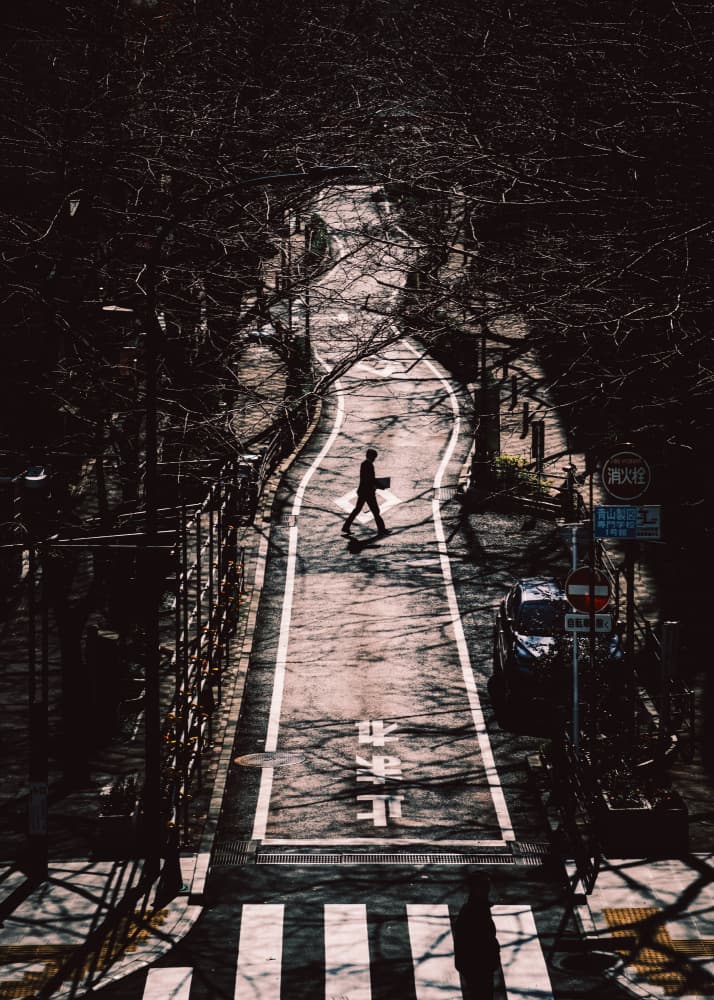 Lone Walker Japan by HIDASAN — canvas wall art