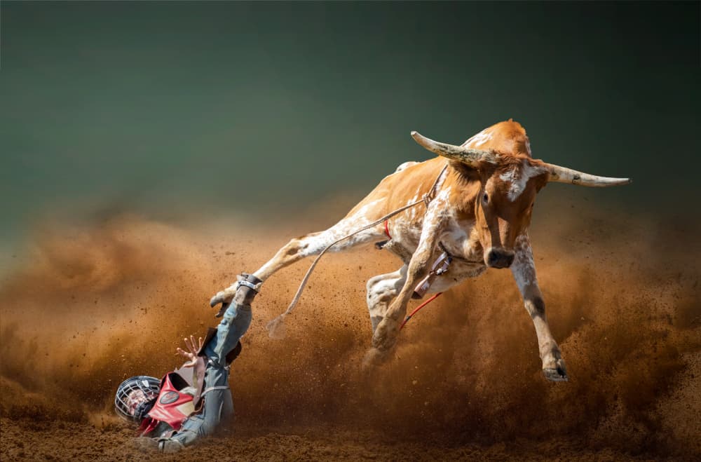 Rodeo Bull Action by Yun Thwaits — canvas wall art