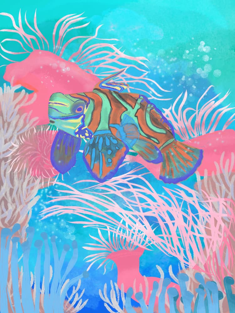 Vibrant Mandarinfish Reef