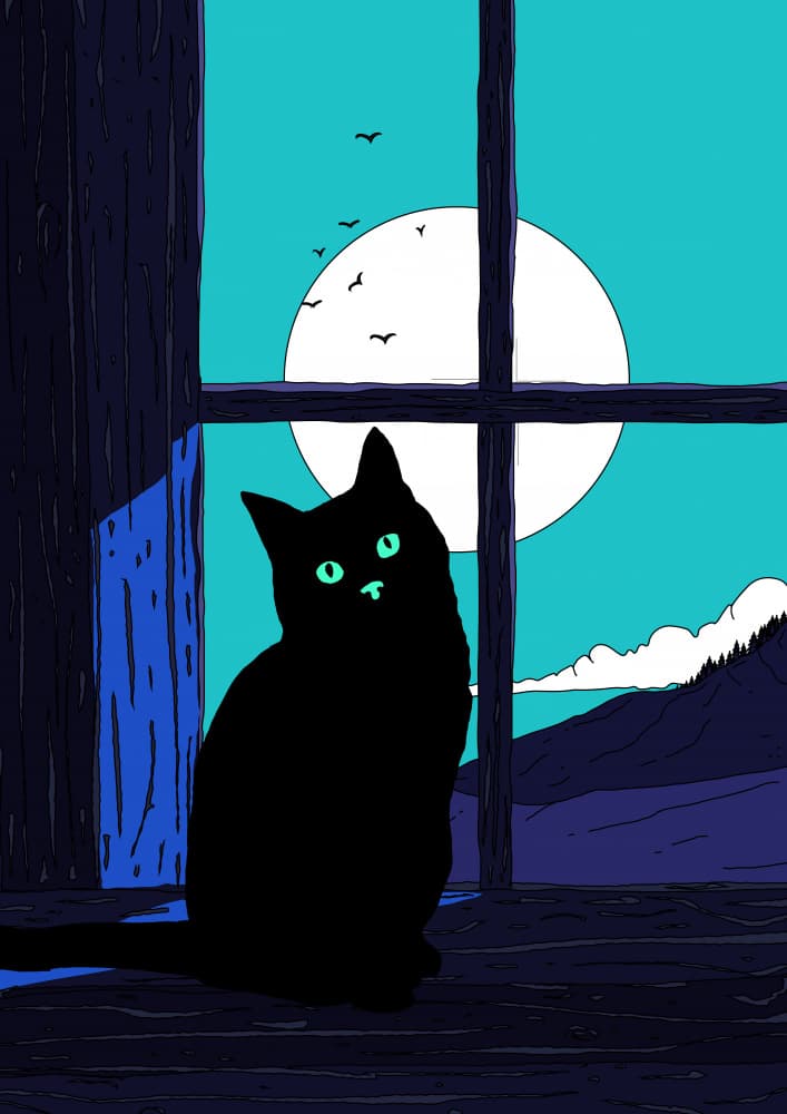 Moonlit Window Cat by Nicholas — canvas wall art