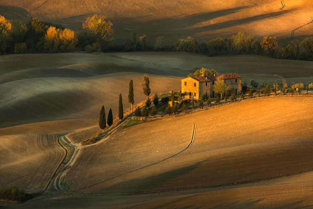Tuscan Countryside Golden Hour by Clas Gustafson PRO — canvas wall art