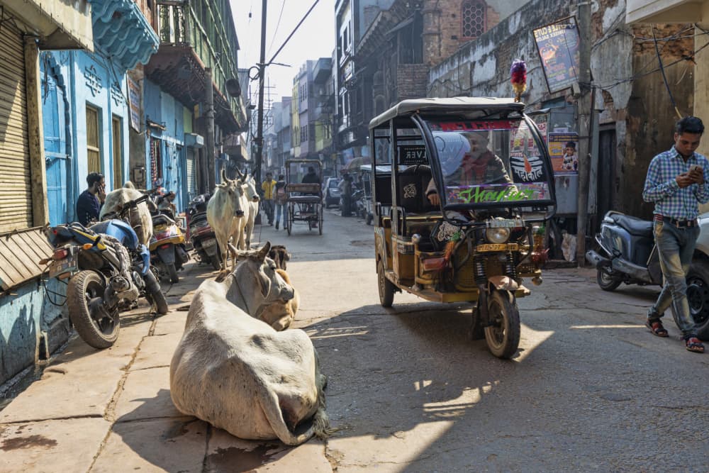 Indian Street Scene by Iris Wiener — canvas wall art