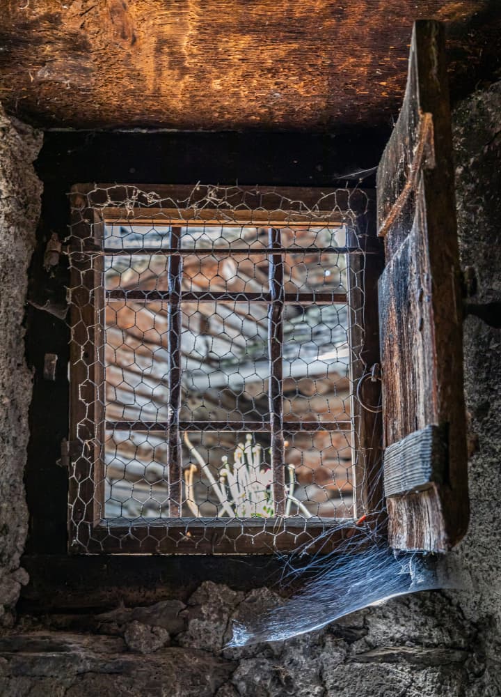 Rustic Window View by Urs Zimmermann — canvas wall art