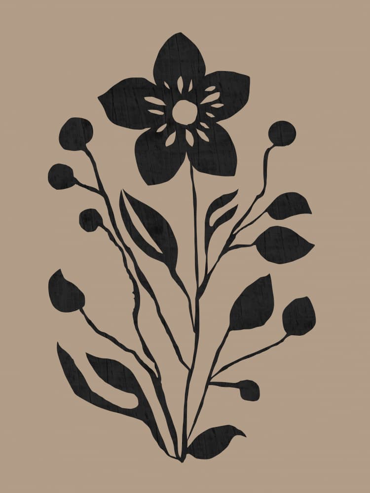 Black Botanical Silhouette by cartissi — canvas wall art