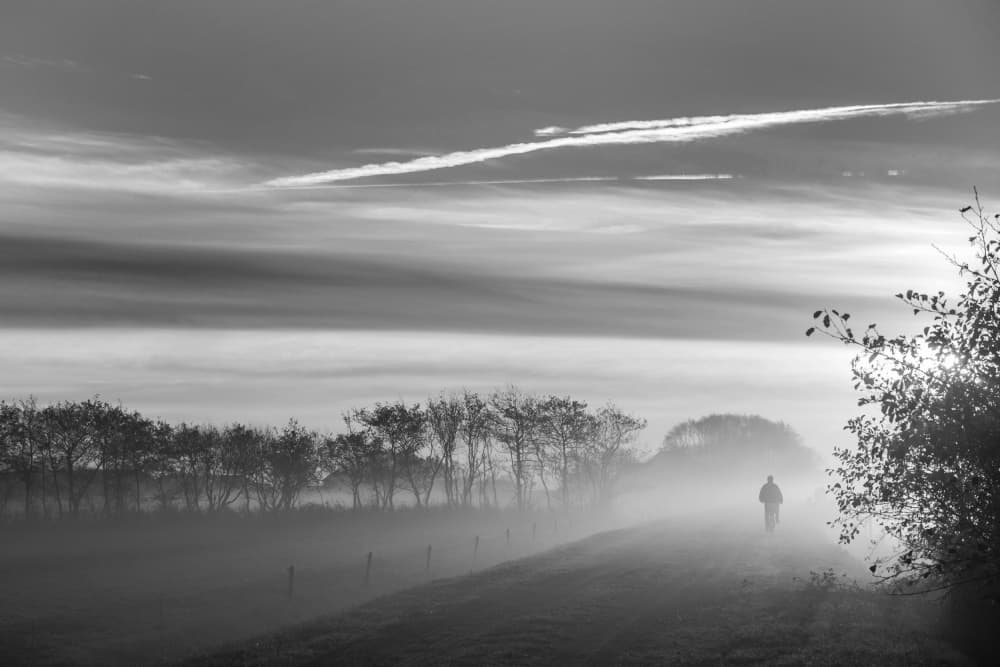 Misty Morning Journey by Liesbeth van der Werf — canvas wall art