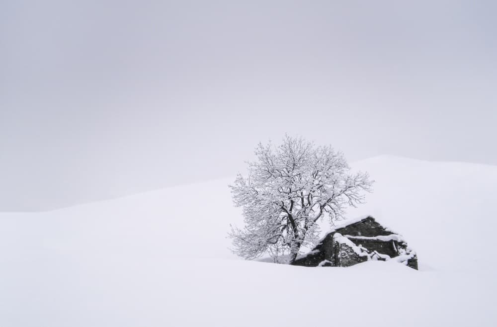 Snowy Tree and Hut by Giorgio Toniolo — canvas wall art