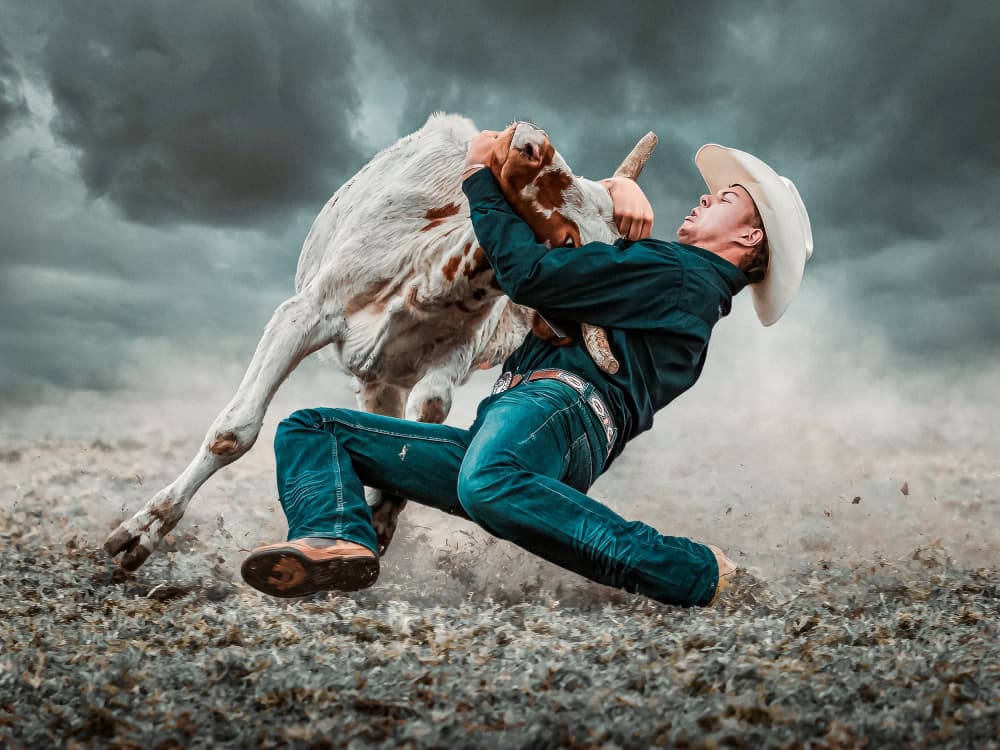 Rodeo Bull Riding Action by Frank Ma — canvas wall art