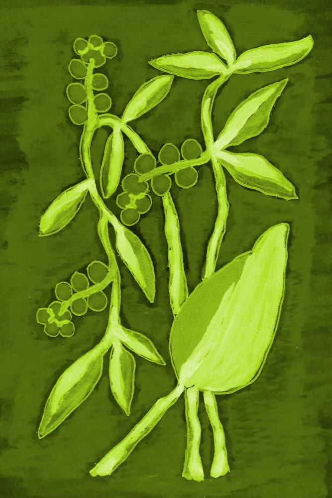 Vibrant Green Foliage by Lori Ann Folz — canvas wall art