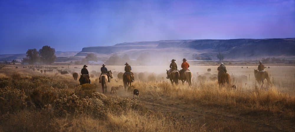 Western Cattle Drive by Anna Zhang — canvas wall art