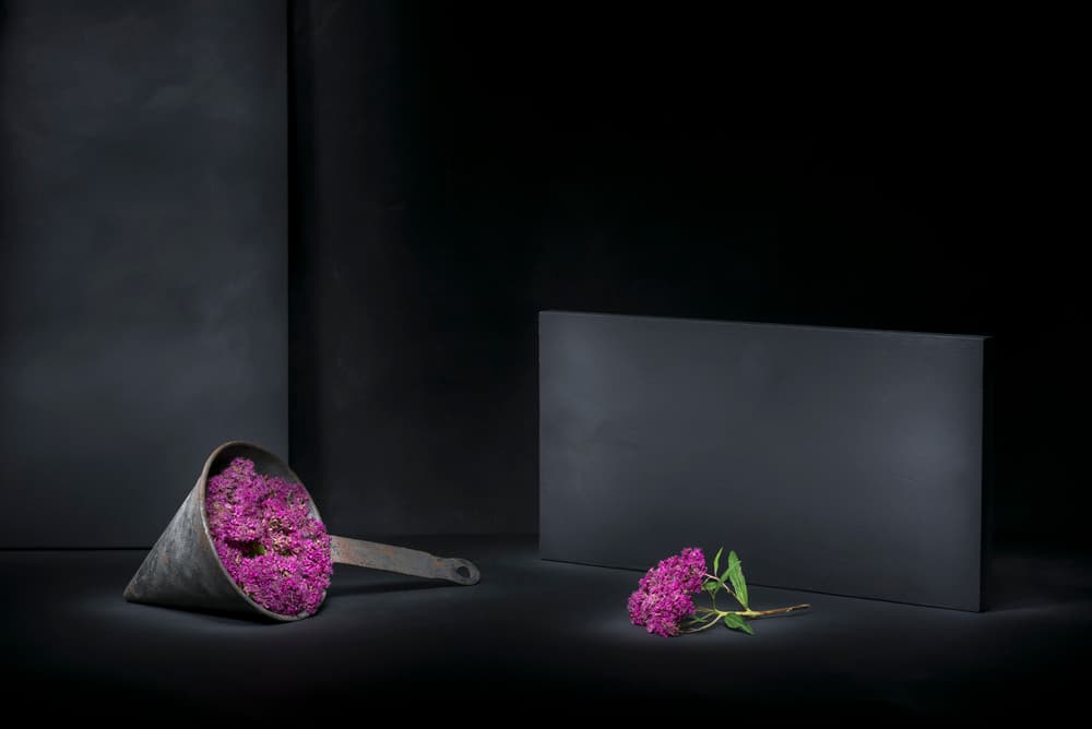 Purple Flowers Still Life by Christophe Verot — canvas wall art