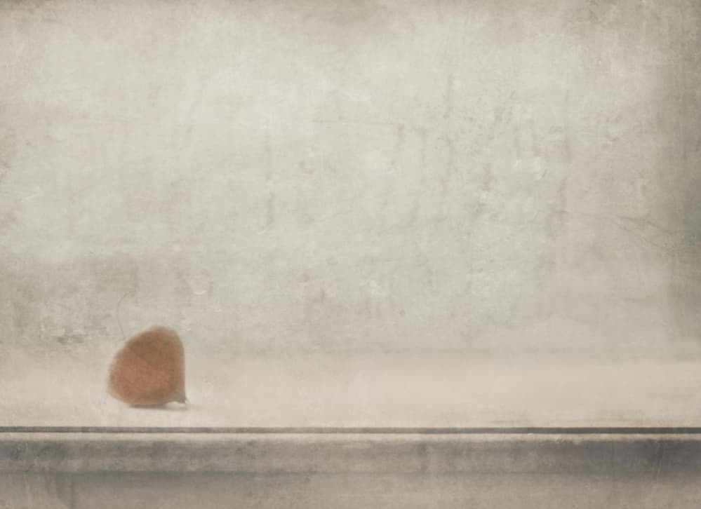Calm Brown Stone by Delphine Devos — canvas wall art