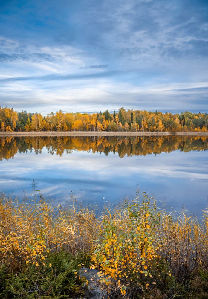 Golden Autumn Lake Reflection by Christian Lindsten — canvas wall art
