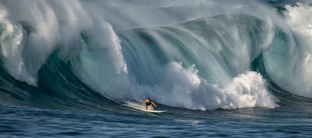 Surfer Rides Massive Wave by David H Yang — canvas wall art