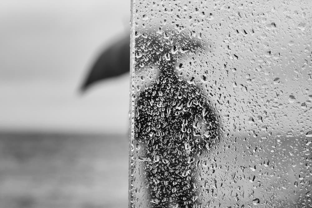 Rainy Window Silhouette by Josefina Melo — canvas wall art