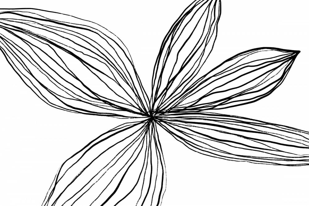 Minimalist Black and White Petals by uplusmestudio — canvas wall art