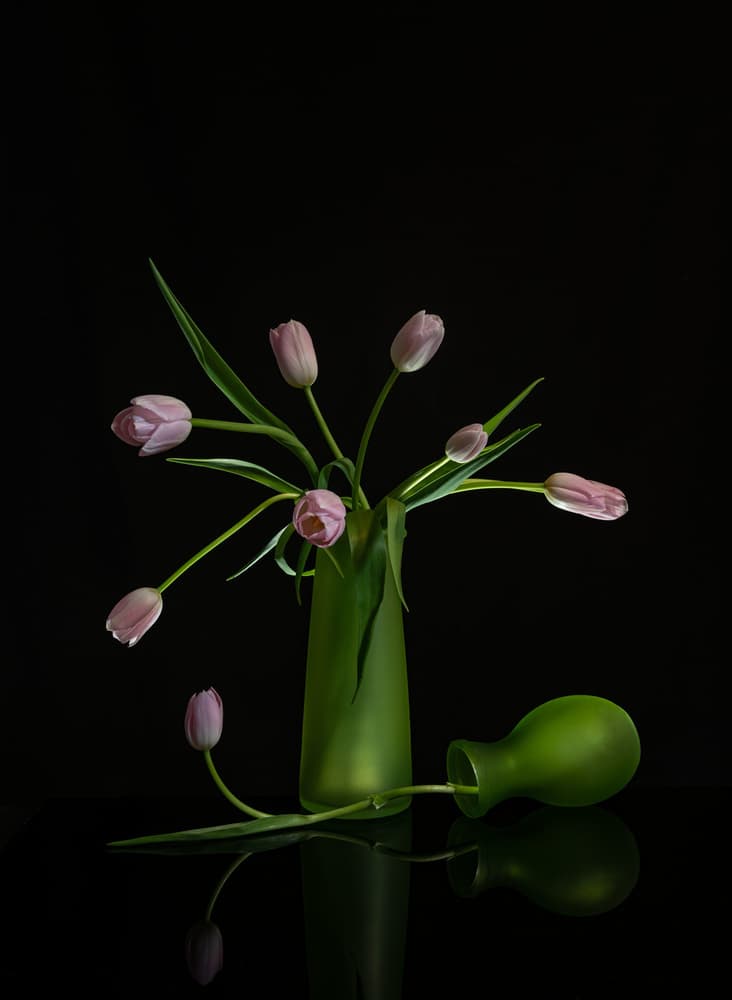 Dancing Purple Tulips by Jie Cheng — canvas wall art