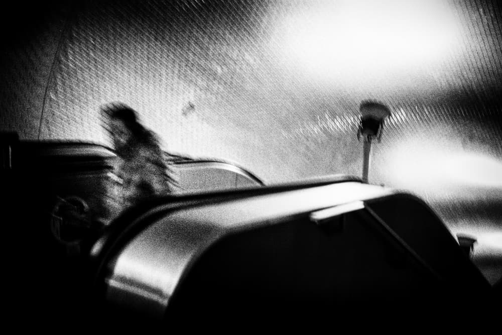 Subway Motion Blur by Paulo Abrantes — canvas wall art