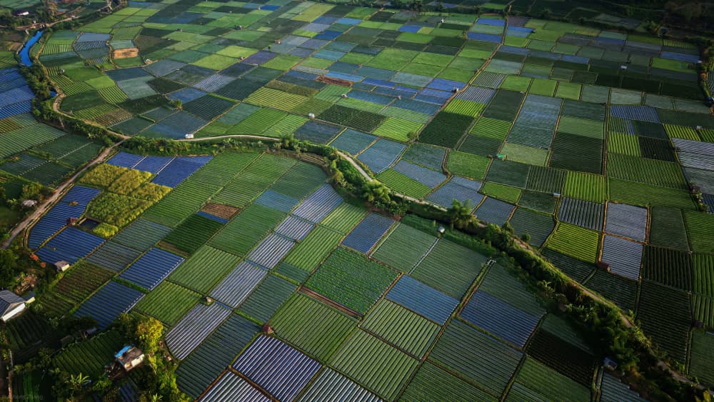 Vibrant Farm Fields by Johnny Zhang — canvas wall art