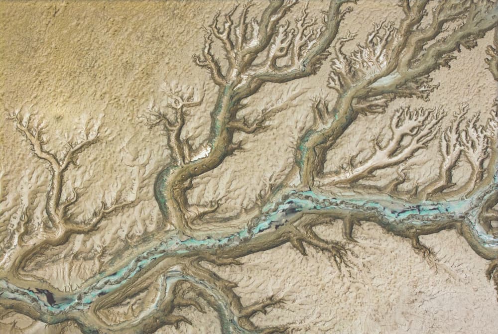 Abstract River Delta by YY DB — canvas wall art
