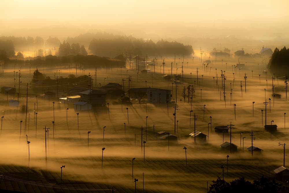 Golden Misty Morning by Tatsuki Ito — canvas wall art