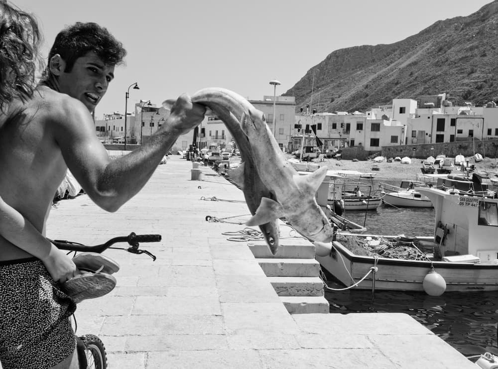 Young Man's Big Catch by Lorenzo Grifantini — canvas wall art