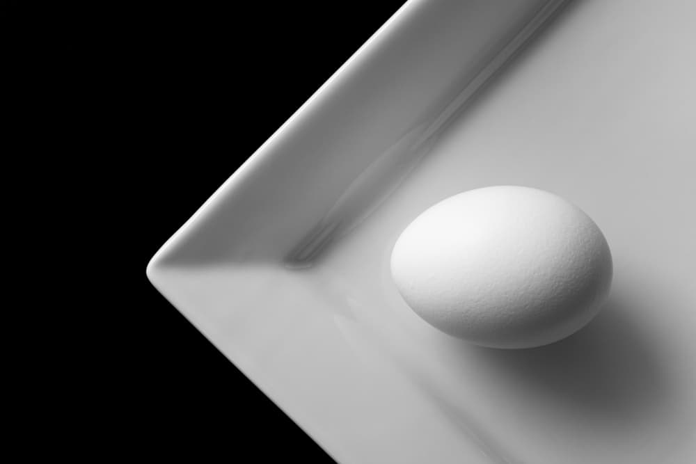 Minimalist White Egg by Peter Hrabinsky — canvas wall art