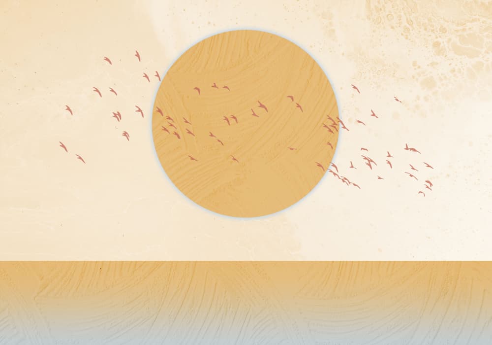Golden Desert Flight by Fadil Roze — canvas wall art