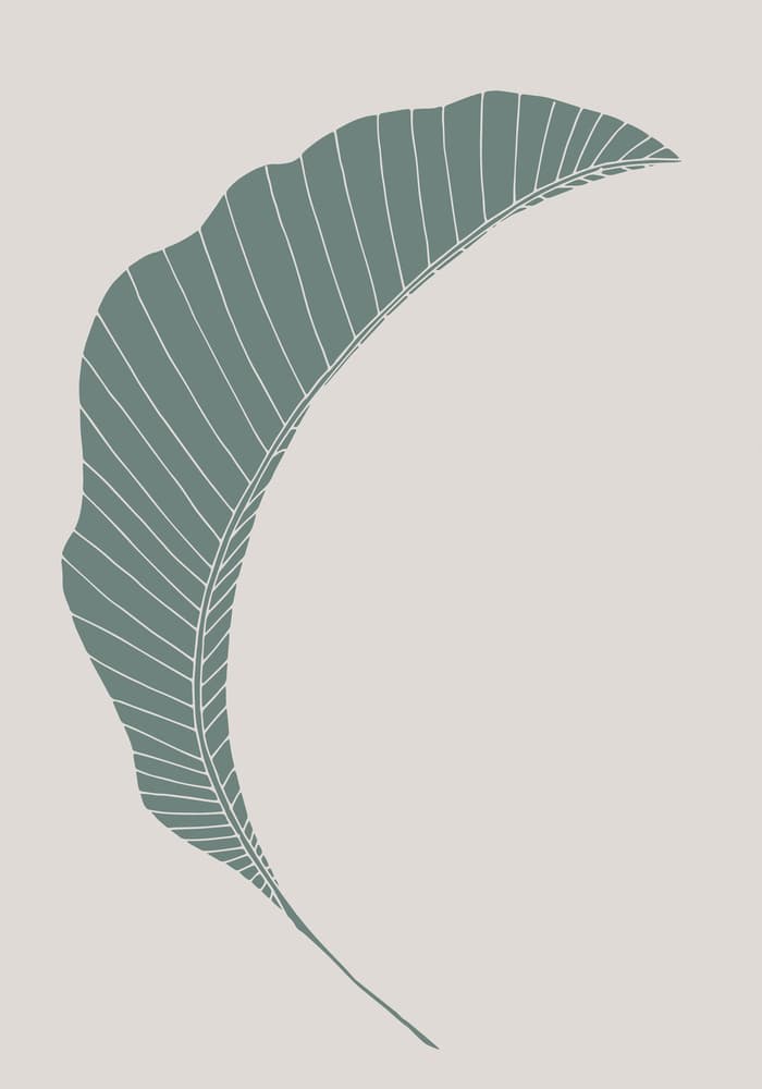 Minimalist Green Leaf by Pictufy Studio II — canvas wall art