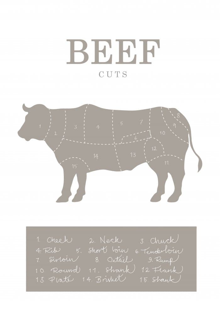 Beef Cuts Diagram by Pictufy Studio II — canvas wall art