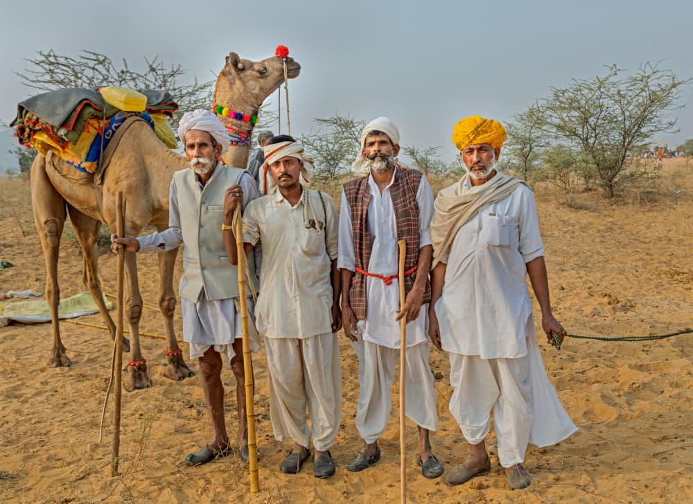 Rajasthan Desert Men Camel by Shaibal Nandi — canvas wall art