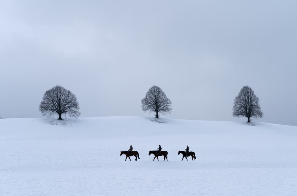 Horses In Winter Snow by Streiff Marcel — canvas wall art