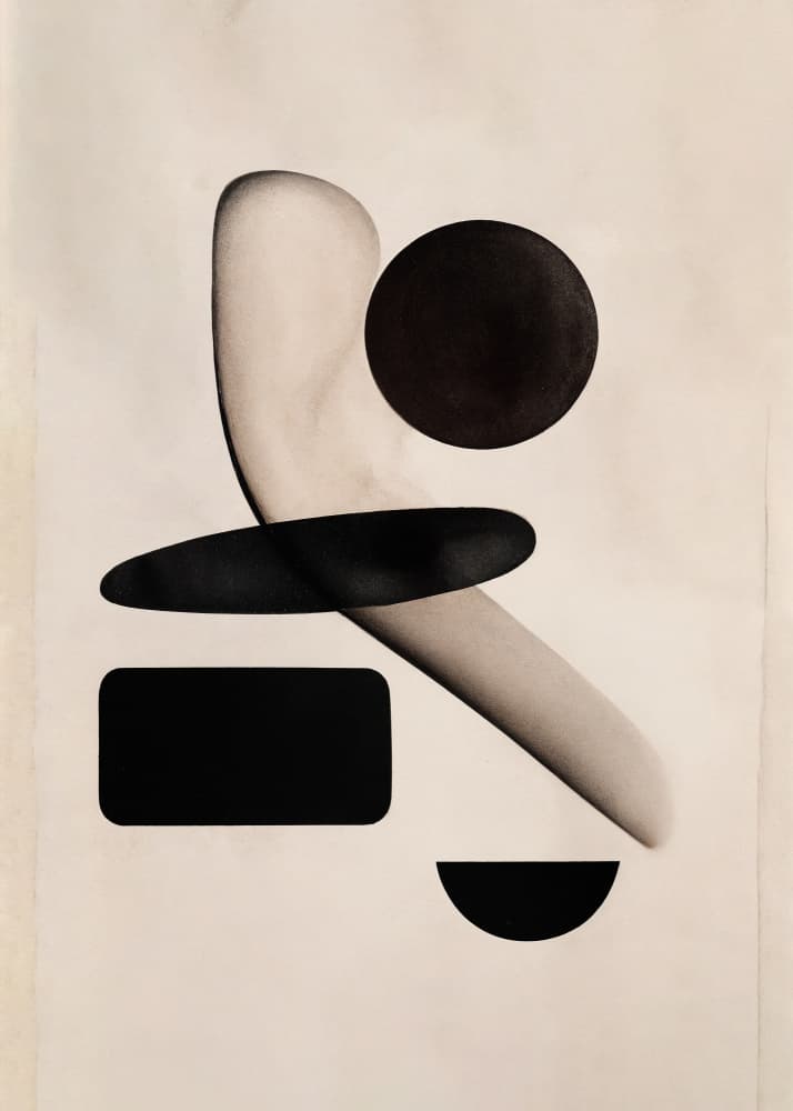 Shapeshift Harmony by THE MIUUS STUDIO — canvas wall art