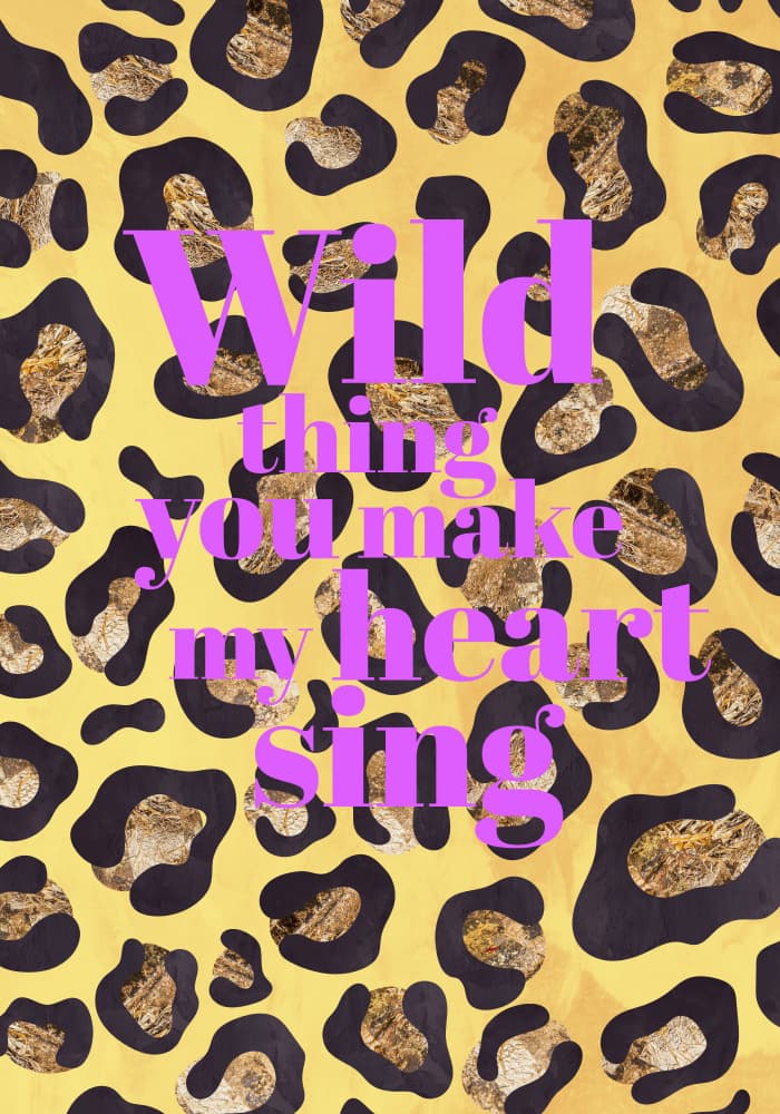 Leopard Print Wild Thing by Sarah Manovski — canvas wall art