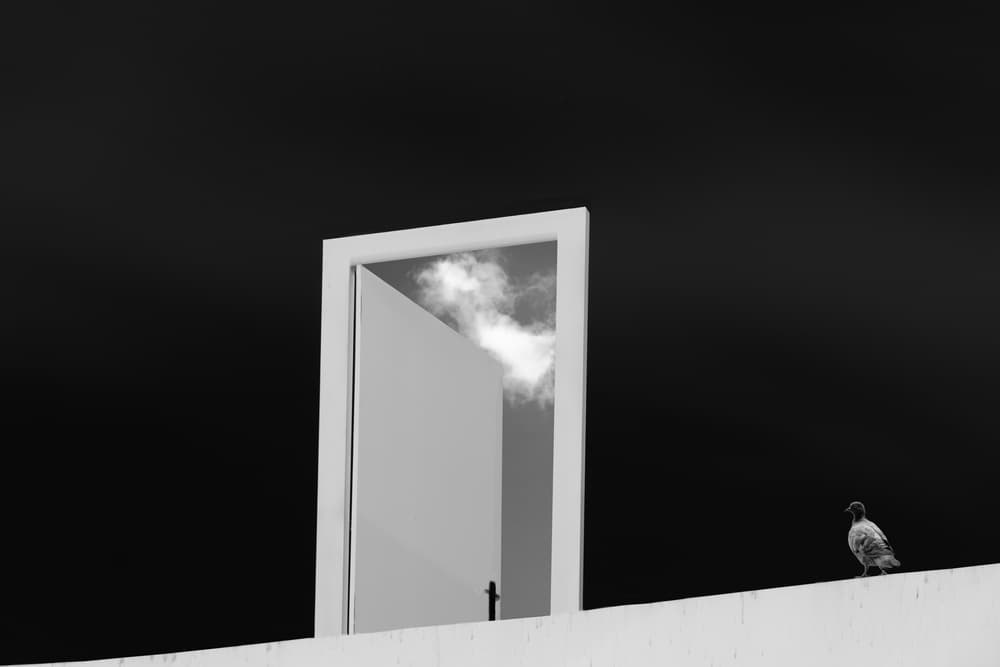Sky Door Pigeon by Luc Vangindertael (laGrange) — canvas wall art