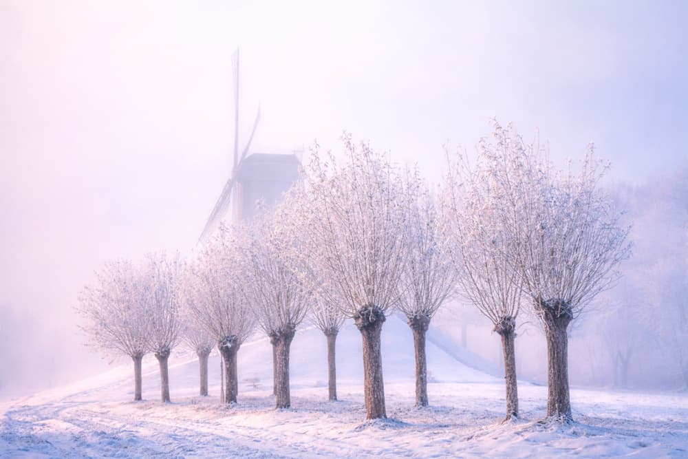 Misty Winter Windmill by Yvette Depaepe — canvas wall art
