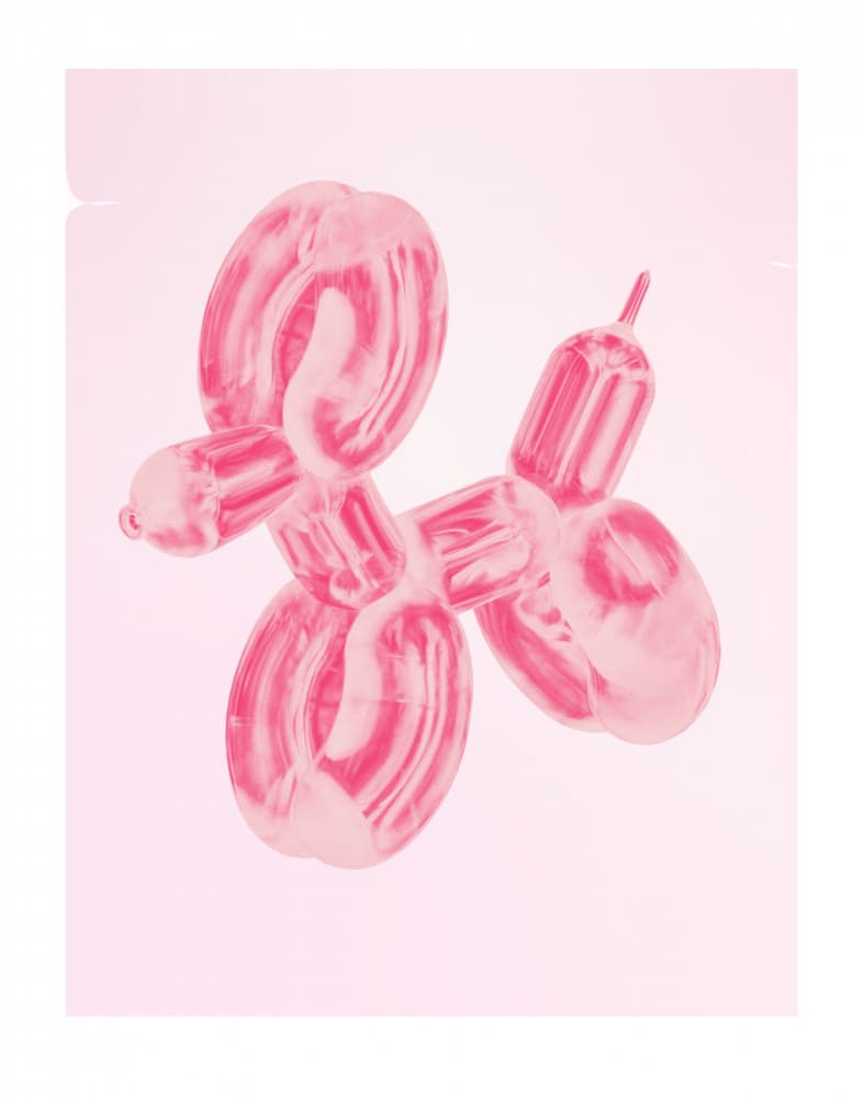 Pink Balloon Poodle by Jolly and Dash — canvas wall art