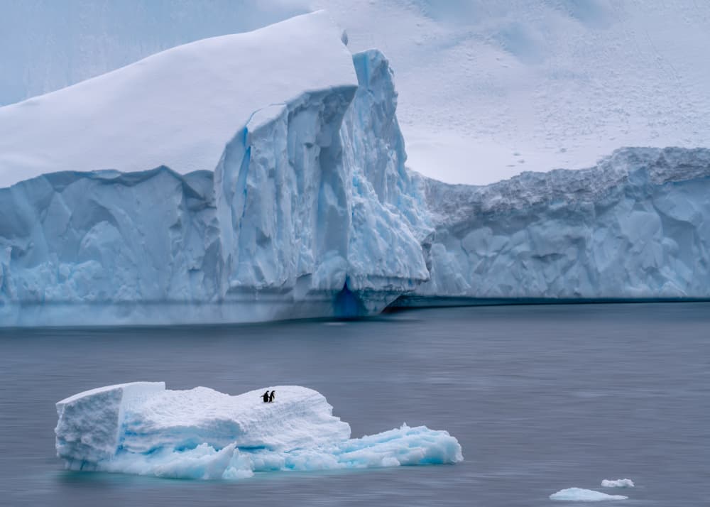 Two Penguins Iceberg by Yu Mao — canvas wall art