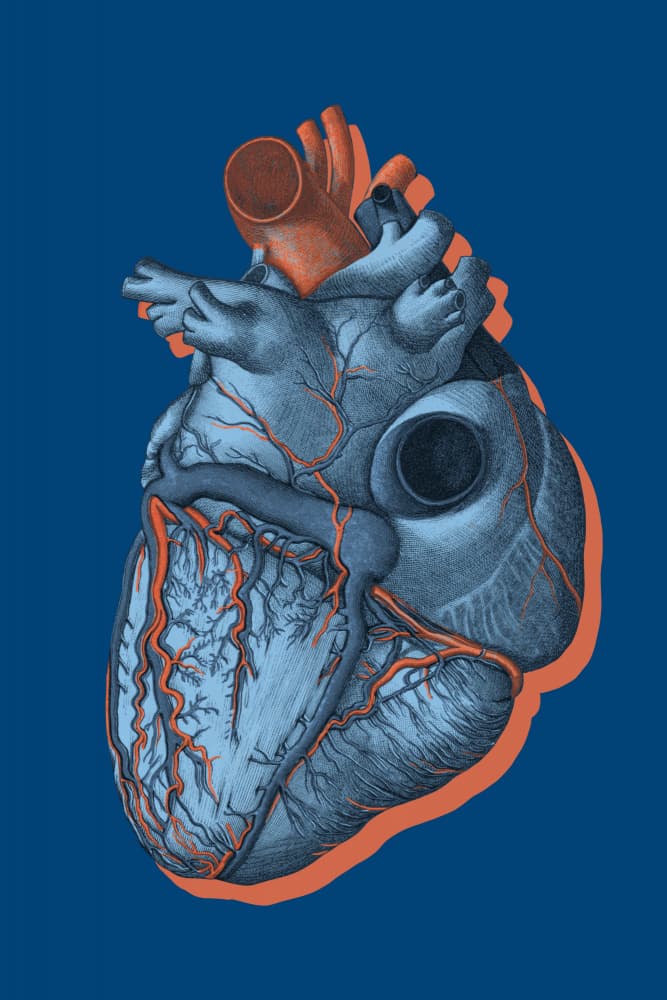 Graphic Human Heart by Marja van den Hurk — canvas wall art