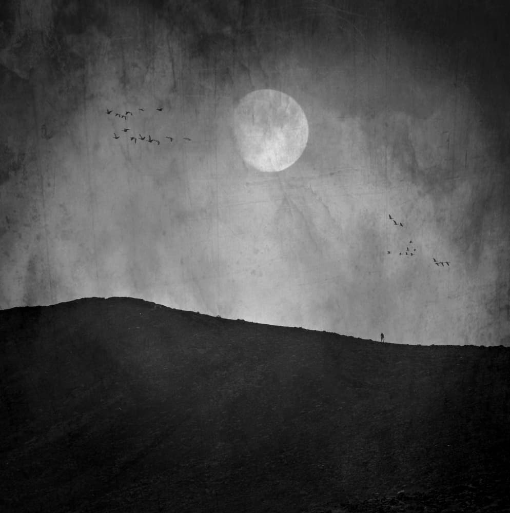 Full Moon Solitude by Robert Fabrowski — canvas wall art