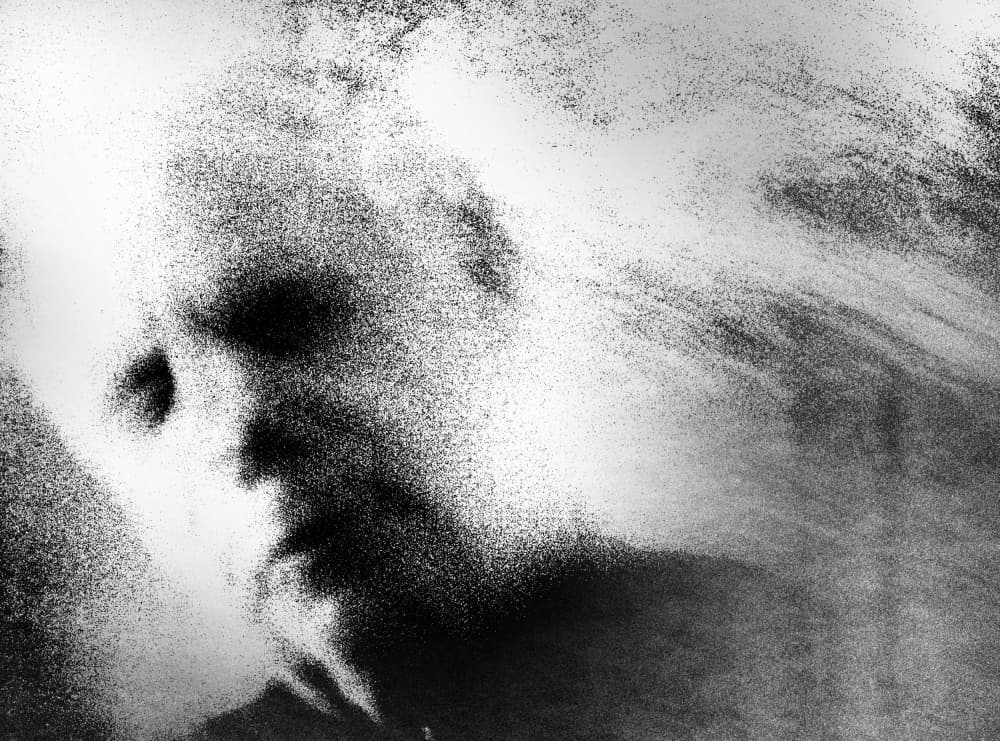 Abstract Face Portrait by Ylva Sjögren — canvas wall art