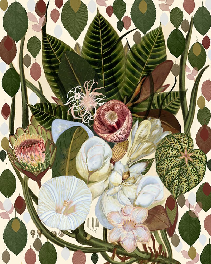 Tropical Botanical Bouquet by giovanna nicolo — canvas wall art