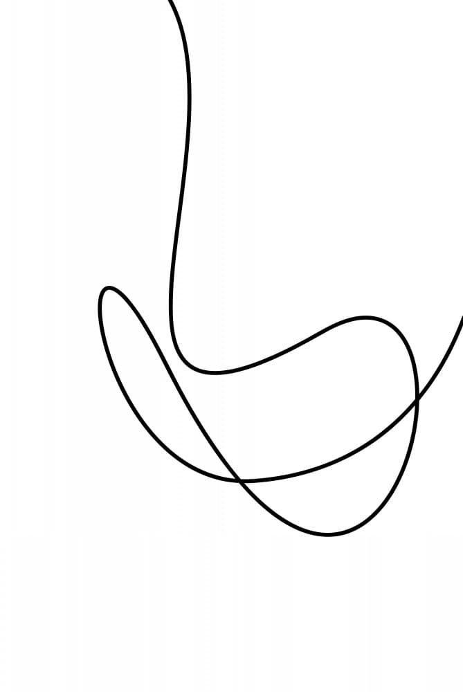 Fluid Black Line by Oju Design — canvas wall art